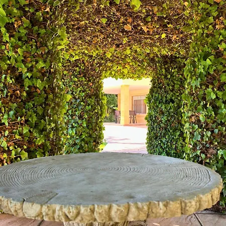 Exclusiva Privada En Elche